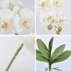 Cành hoa lan hồ điệp cao su 7 bông cao cấp - decor trang trí nhà cửa cực đẹp và sang trọng