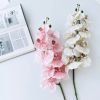 Cành hoa lan hồ điệp giả  - Hàng cao cấp bằng cao su 7 bông cánh xoăn - Trang trí cực đẹp và sang trọng