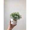Hoa giả - Chậu hoa tú cầu để bàn, decor trang nhà nhà cửa cực đẹp