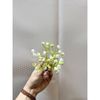 100g hoa baby - hoa nhí - cỏ điểm trang trí hộp quà , bó hoa tươi - hoa sáp