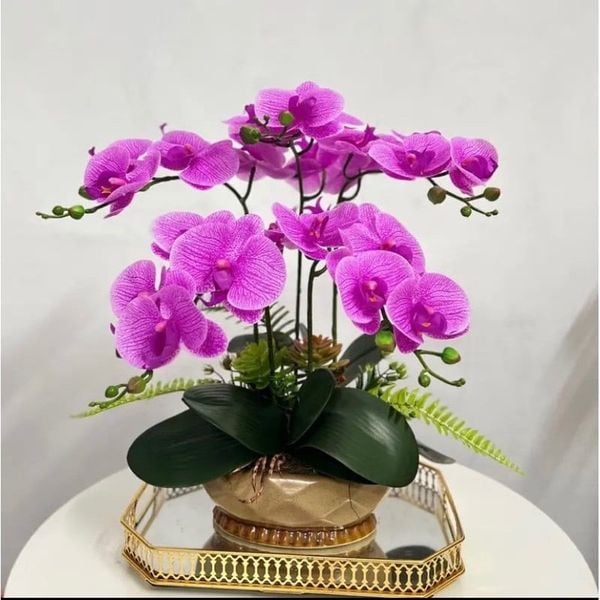 Cành hoa lan hồ điệp 5 bông cao su - decor trang trí tuyệt đẹp và cực sang