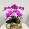 Cành hoa lan hồ điệp 5 bông cao su - decor trang trí tuyệt đẹp và cực sang