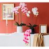 Cành hoa lan hồ điệp 5 bông cao su - decor trang trí tuyệt đẹp và cực sang