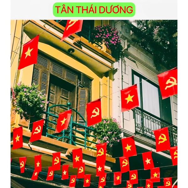 Cờ dây Tổ Quốc 10met x 20 lá  - Cờ dây Sao Vàng in 2 mặt bằng vải phi bóng - Decor Trang trí dịp Tết, lễ hội