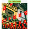 Cờ dây Tổ Quốc 10met x 20 lá  - Cờ dây Sao Vàng in 2 mặt bằng vải phi bóng - Decor Trang trí dịp Tết, lễ hội