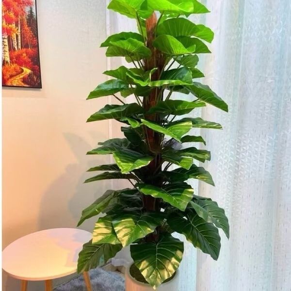Cây Giả - Cây trầu bà giả cao cấp cao 1,6m - Cây trầu bà giả decor, Trang trí nhà cửa
