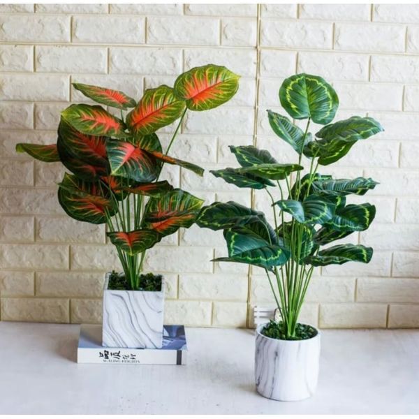 Cây giả - Cây trầu bà cao cấp 12 lá - Decor, Trang trí nhà cửa
