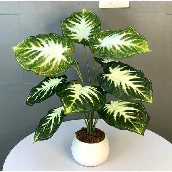 Cây giả - Cây trầu bà cao cấp 12 lá - Decor, Trang trí nhà cửa