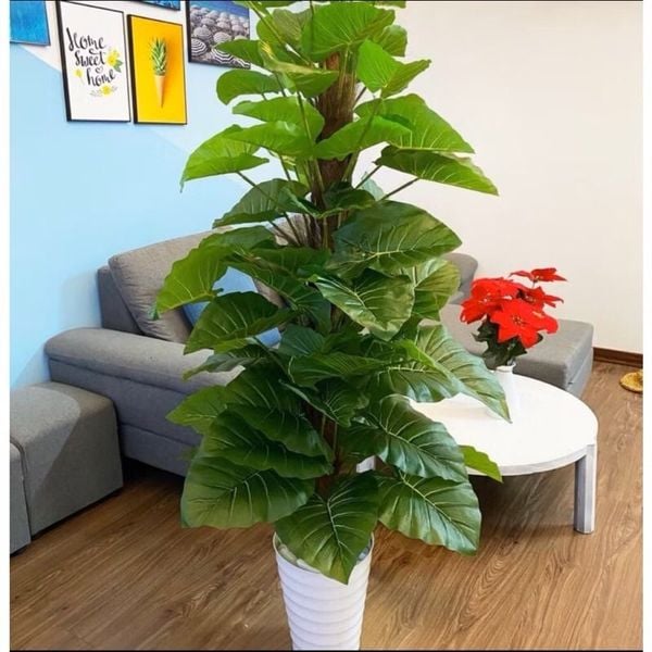 Cây Giả - Cây trầu bà giả cao cấp cao 1,6m - Cây trầu bà giả decor, Trang trí nhà cửa