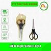 KÉO HỌC SINH 13CM - GIÁ RẺ