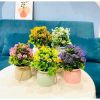 Chậu cây giả - Chậu cây tú cầu nhí để bàn - Decor trang trí nhà cửa cực đẹp
