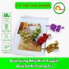 Quả Sung Nhũ Kim Tuyến, Quả Sơ Ri Trang Trí Oản - Trang Trí Giỏ Hoa