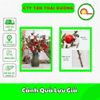 Cành Quả Lựu Giả Thân Mốc Giống Thật 99%