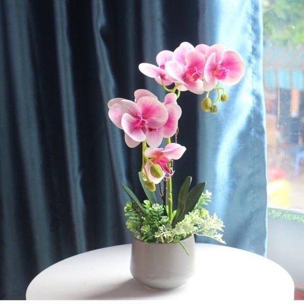 Cành hoa lan hồ điệp 5 bông cao su - decor trang trí tuyệt đẹp và cực sang