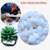 500gram đá trắng - Sỏi trắng trang trí chậu cây, chậu hoa - Trang trí chậu cây tiểu cảnh - Trải nền bể cá cảnh