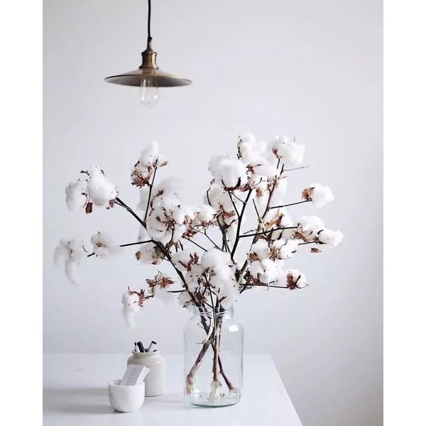 1KG BÔNG GÒN - Decor đám mây - Trang Trí Noel - Nhồi Lõi Gối - Thú Bông.