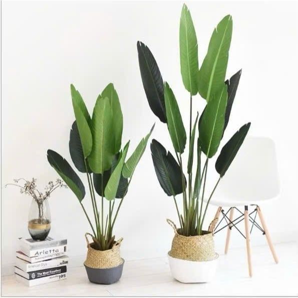 Cây Giả - Cây chuối giả giống thật 99% - Cây chuối cảnh Decor trang trí nhà cửa