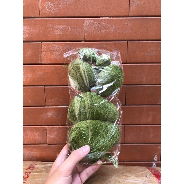Set 6 viên rêu - Decor trang trí sân vườn, tiểu cảnh - Cực đẹp