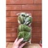 Set 6 viên rêu - Decor trang trí sân vườn, tiểu cảnh - Cực đẹp