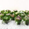 Set 6 viên rêu - Decor trang trí sân vườn, tiểu cảnh - Cực đẹp