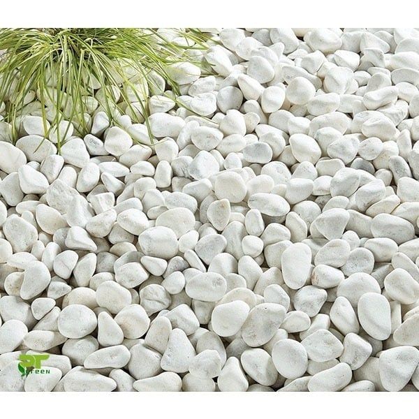 500gram đá trắng - Sỏi trắng trang trí chậu cây, chậu hoa - Trang trí chậu cây tiểu cảnh - Trải nền bể cá cảnh