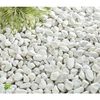 500gram đá trắng - Sỏi trắng trang trí chậu cây, chậu hoa - Trang trí chậu cây tiểu cảnh - Trải nền bể cá cảnh