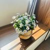 Cành giả - Cành hoa cúc hoạ mi - Decor trang trí cắm lọ hoa siêu xinh