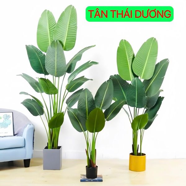 Cây Giả - Cây chuối giả giống thật 99% - Cây chuối cảnh Decor trang trí nhà cửa