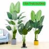 Cây Giả - Cây chuối giả giống thật 99% - Cây chuối cảnh Decor trang trí nhà cửa