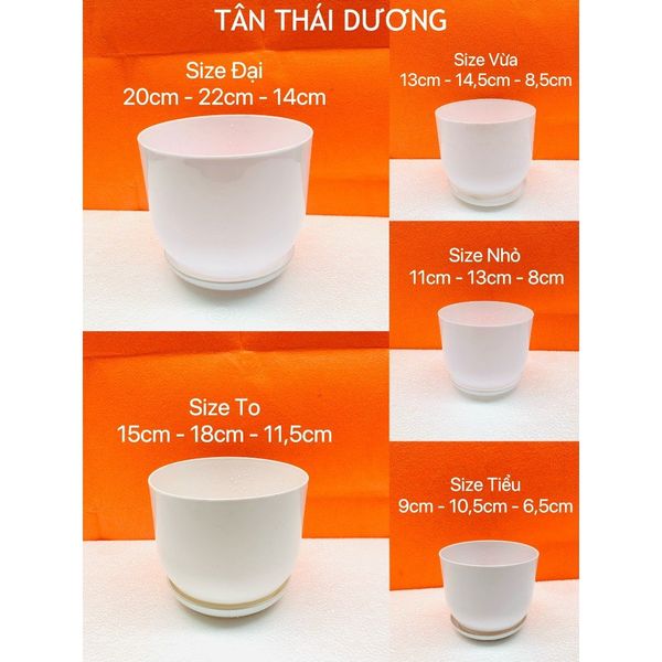 (Loại dày) Chậu trồng cây - Chậu nhựa tròn giả sứ kèm đĩa trồng cây cảnh mini, sen đá - Chậu trồng hoa