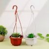(Loại Dày) Chậu trồng hoa - Giỏ treo hình bát giác, Chậu hoa nhựa - Decor Trang trí nhà cửa