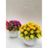 Hoa giả - Chậu hoa baby tròn nhỏ để bàn - Decor trang trí siêu xinh
