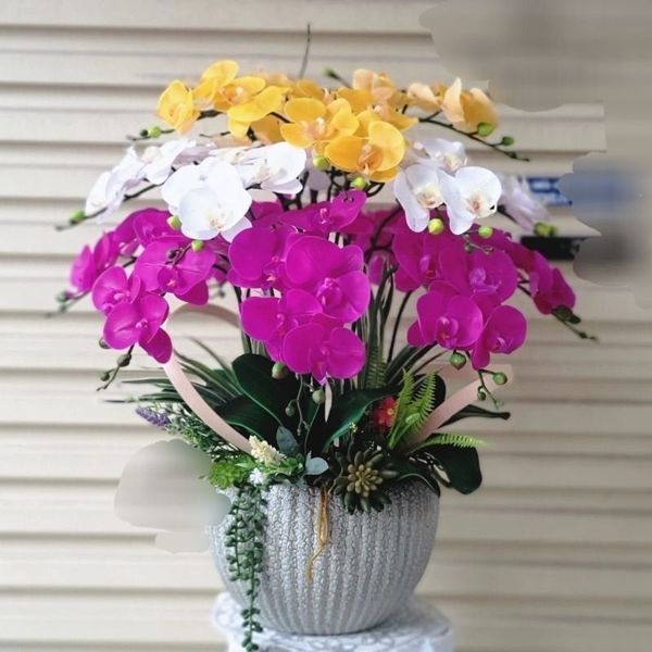 Cành hoa lan hồ điệp 5 bông cao su - decor trang trí tuyệt đẹp và cực sang