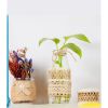 Cuộn dây ruy băng vải bao bố phối ren - Làm đồ handmade, thắt nơ trang trí hộp quà - Dài 2 Mét