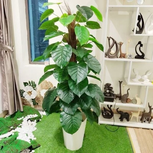 Cây Giả - Cây trầu bà giả cao cấp cao 1,6m - Cây trầu bà giả decor, Trang trí nhà cửa