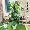 Cây Giả - Cây trầu bà giả cao cấp cao 1,6m - Cây trầu bà giả decor, Trang trí nhà cửa