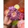 Đầu bông hoa cúc đại đoá giả đường kính 12cm