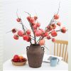 1 Cành quả hồng giả - cành quả mốc trang trí phòng khách, cắm bình hoa để bàn cực đẹp