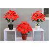 Cây Giả - Cây hoa Trạng Nguyên giả cao cấp giống thật 99% - Decor Trang trí nhà cửa cực đẹp
