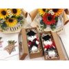 (Lẻ 1 Con) Gấu xốp tốt nghiệp - Gấu cử nhân - Decor Trang trí bó hoa, làm quà tặng cực đẹp size 14cm