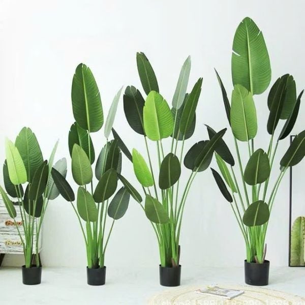 Cây Giả - Cây chuối giả giống thật 99% - Cây chuối cảnh Decor trang trí nhà cửa