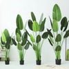 Cây Giả - Cây chuối giả giống thật 99% - Cây chuối cảnh Decor trang trí nhà cửa