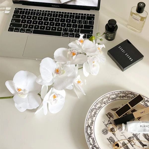 Cành hoa lan hồ điệp cao su 7 bông cao cấp - decor trang trí nhà cửa cực đẹp và sang trọng