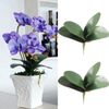 Cụm Lá Giả - Cụm lá LAN HỒ ĐIỆP giả - Trang trí, điểm bó hoa, chậu hoa giả