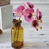 Cành hoa lan hồ điệp 5 bông cao su - decor trang trí tuyệt đẹp và cực sang