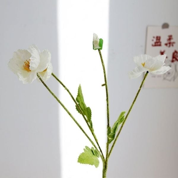 Hoa Anh Túc - Hoa giả để bàn, decor trang trí phòng, làm đạo cụ chụp ảnh cực đẹp