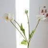 Hoa Anh Túc - Hoa giả để bàn, decor trang trí phòng, làm đạo cụ chụp ảnh cực đẹp