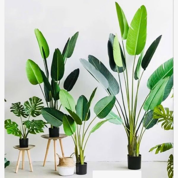 Cây Giả - Cây chuối giả giống thật 99% - Cây chuối cảnh Decor trang trí nhà cửa