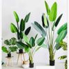 Cây Giả - Cây chuối giả giống thật 99% - Cây chuối cảnh Decor trang trí nhà cửa
