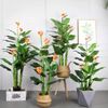 Cây Giả - Cây hoa rum, Cây thiên điểu, Cây môn hồng trang trí nhà cửa - Cây giả decor